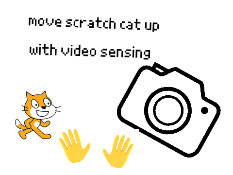 Push scratch cat up with video sensing