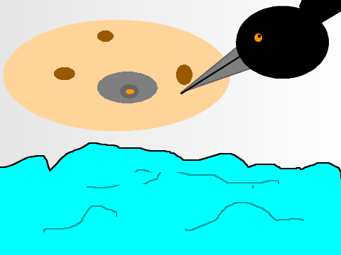 potatatatatatataatato