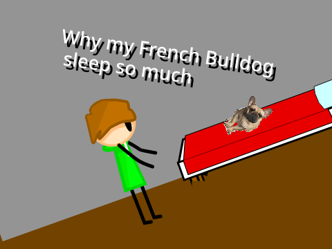 Why my French Bulldog sleep so much