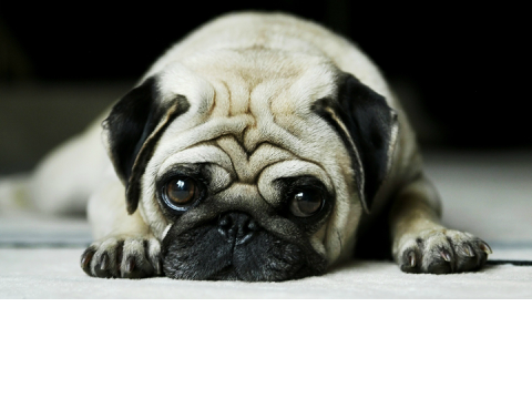 cute stuff!!!!!!!!!!!!!