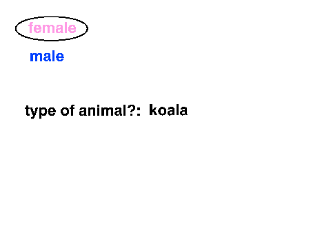 animal jam rp sign up remix