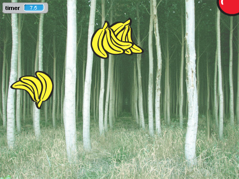 Forest Chase