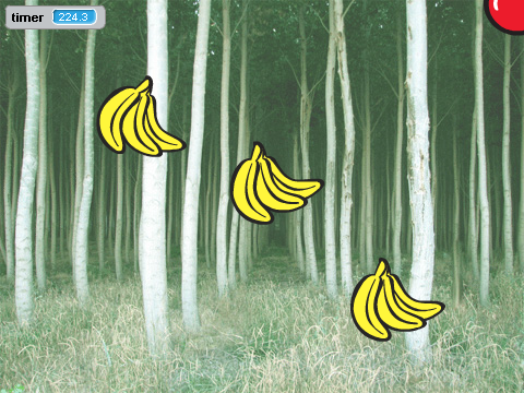 Forest Chase 4 Players