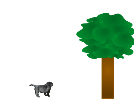 Get the Squirrel