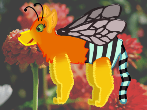 Bee Cats | Blue Banded bee
