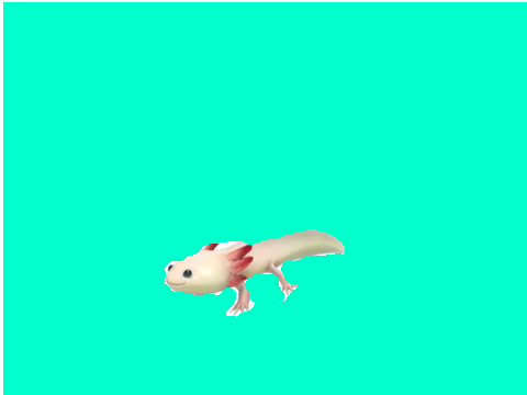 fred runs around the rainbow