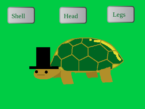 My Turtle