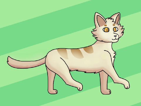 I Drew A Cat