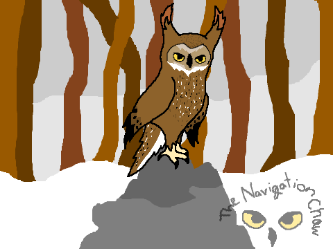 Great Horned Owl :)