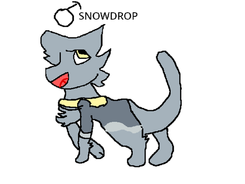 DTAE (Snowdrop)