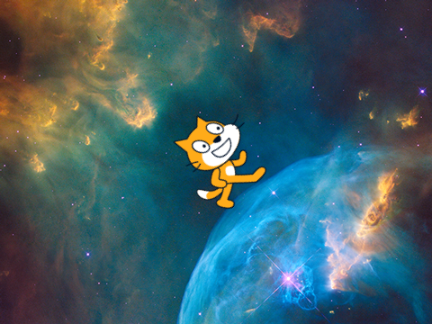Click the Cat