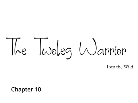 The Twoleg Warrior Chapter 10 A Warrior Cats FanFiction 