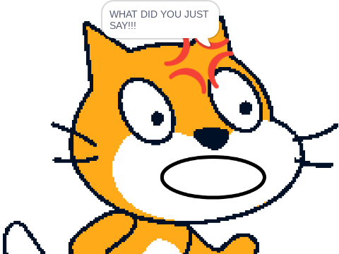 Scratch cat gets mad! 