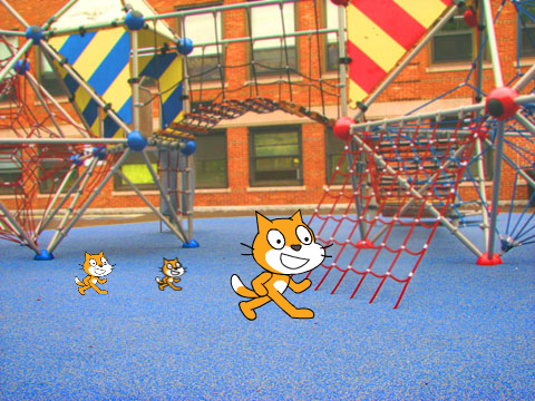 SUPER CATS 1