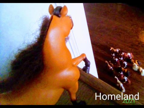 toy horse slideshow from 2021-2024 pictures only 