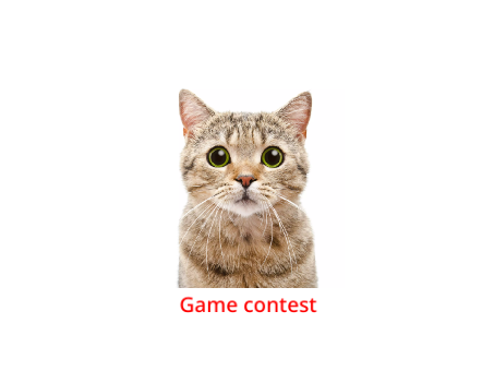 30 follower game contest  