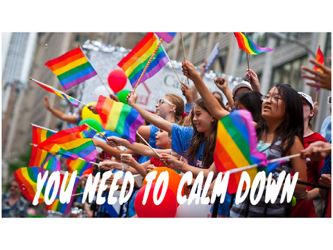 You need to calm down - Taylor Swift remix