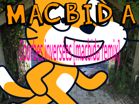 Courbes inversées [macbida remix]