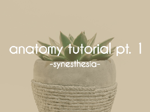 anatomy tutorial pt. 1 ☆