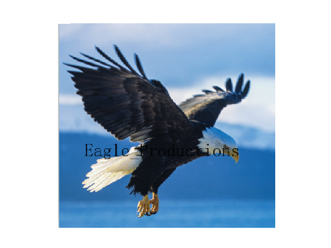 To @Eagle_Productions