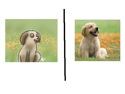 Poppy Field || Scene & 100+ Art Process