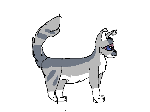Dewkit(paw) practice ^^