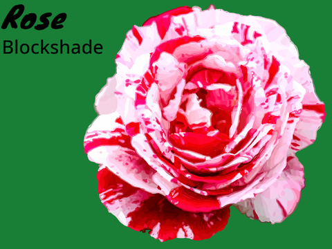 Rose Blockshade - An Entry For a Blockshade Contest