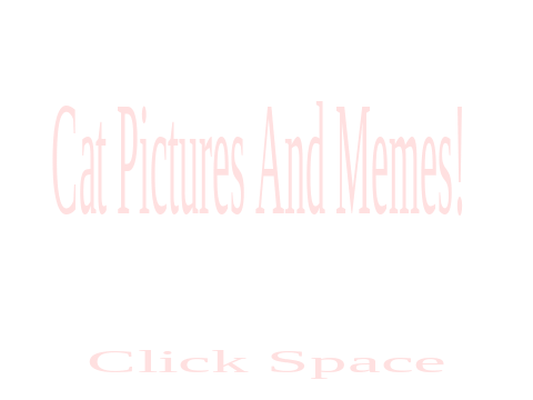Cat Pics and Memes <3