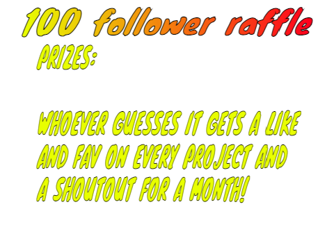 100 follower raffle