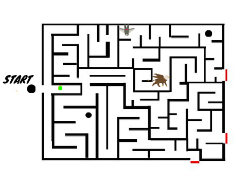 Ball maze