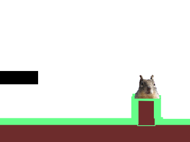 Bruno vs Sqiurrels 