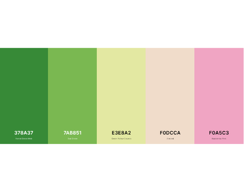 Palette