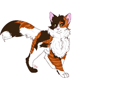 What Warrior Cat Are You Quiz?