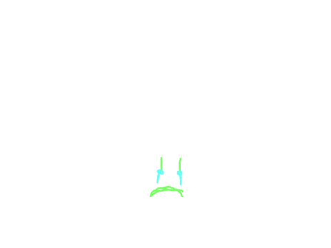 animations