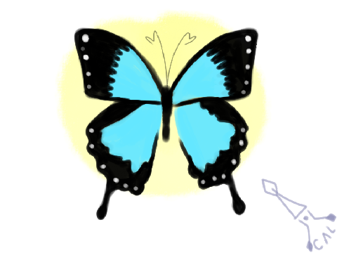 Butterfly
