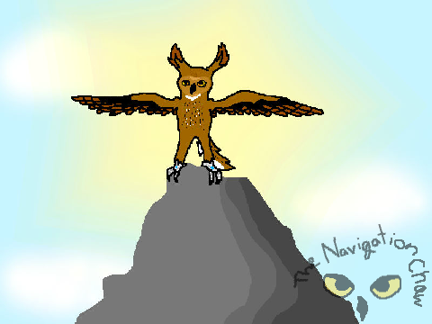 Another attempt to owl... Status: FAIL