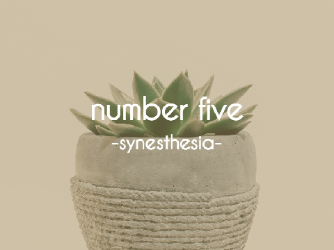number five ☆