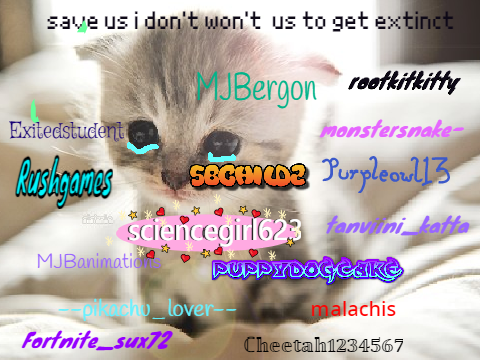 Sign if you hate animal cruelty!  remix remix
