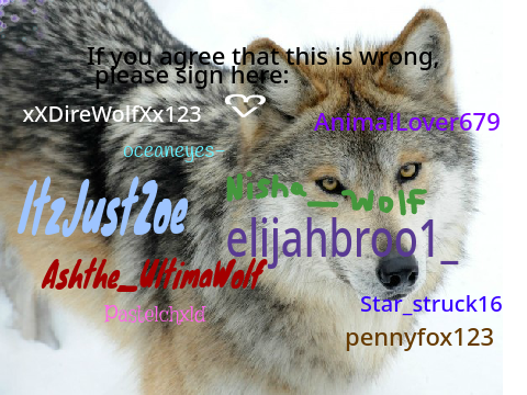Sign To Stop Wolf Hunting: remix remix remix remix remix