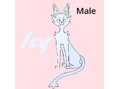 ~Cat~ Contest-Open                                  ⬇️