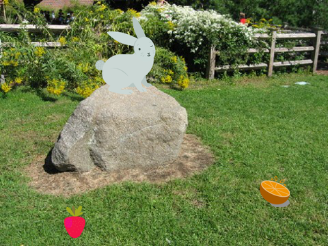 Virtual Pet Bunny!