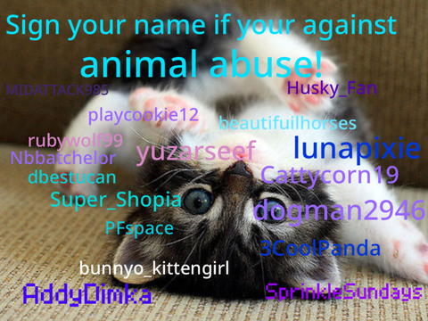 Sign if you are against animal abuse! remix remix remix remix remix remix remix remix remix r… remix