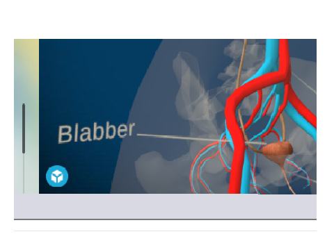 "The Blabber"