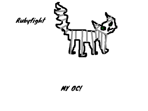 Rubyflight- My warrior OC!