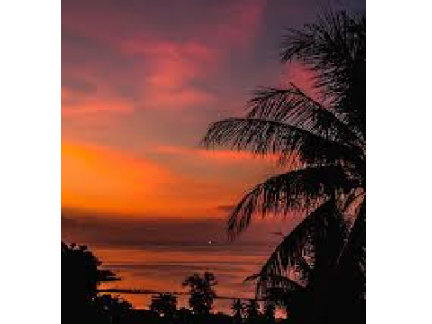 ❋Sunset❋