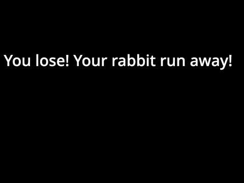 The Virtual Pet Rabbit