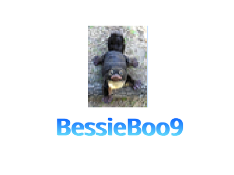 Bessieboo9 Intro