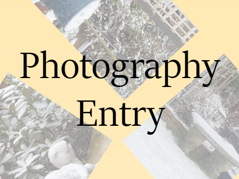  460+ Photography Entry