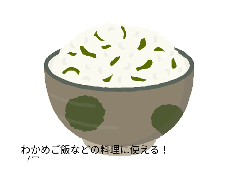 ワカメを崇めよ （現実）