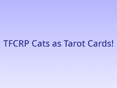 TFCRP Cats as Tarot Cards!
